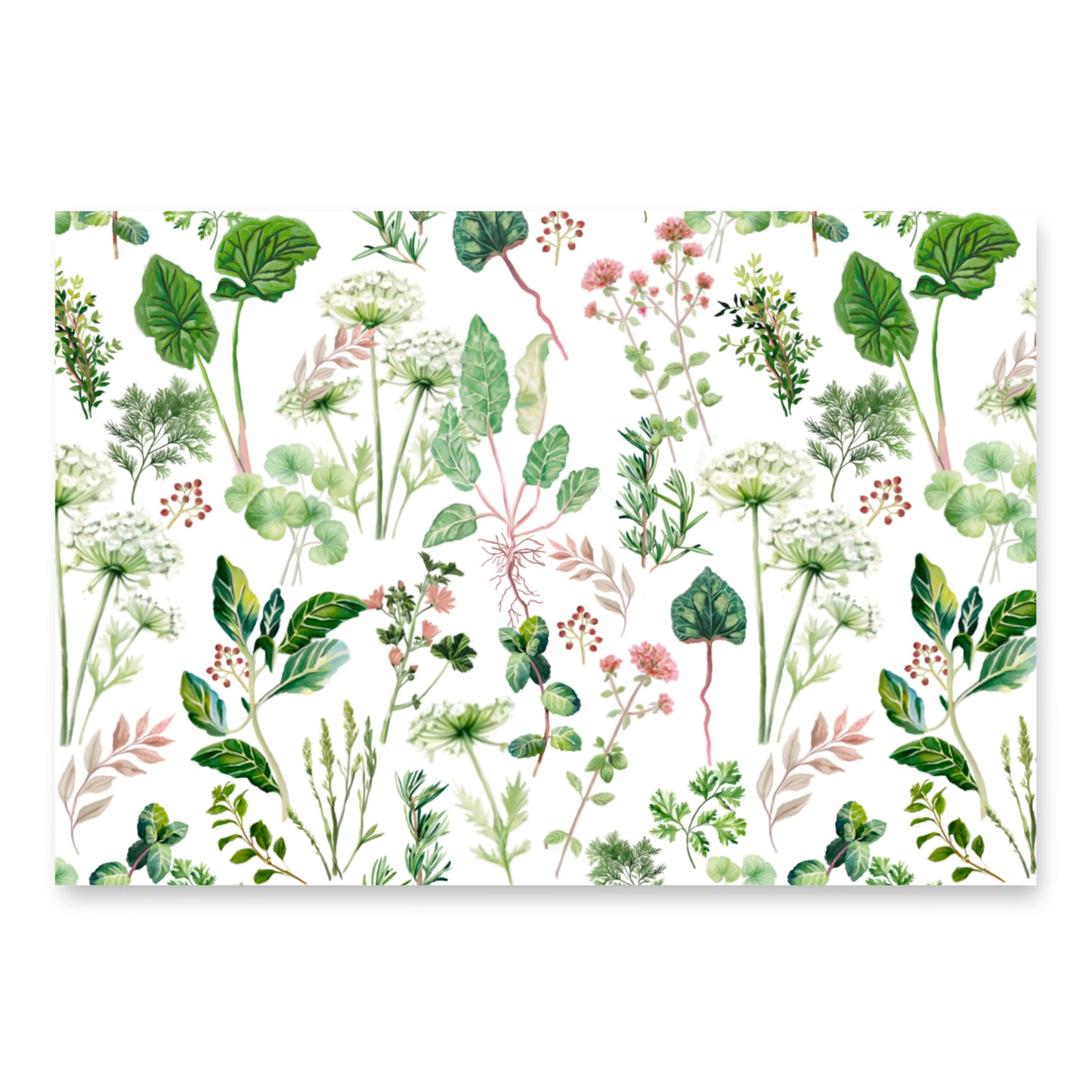 Wrapping Paper Palestinian Herbs