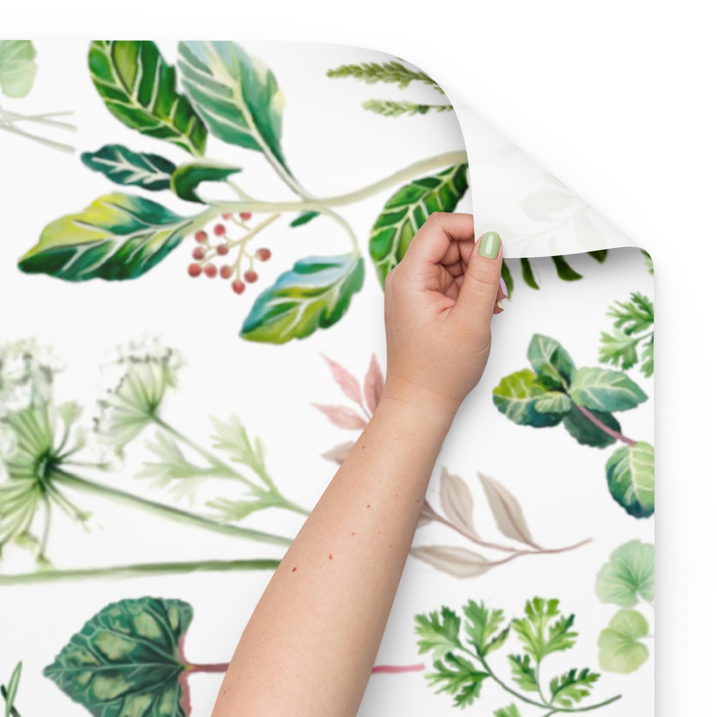 Wrapping Paper Palestinian Herbs